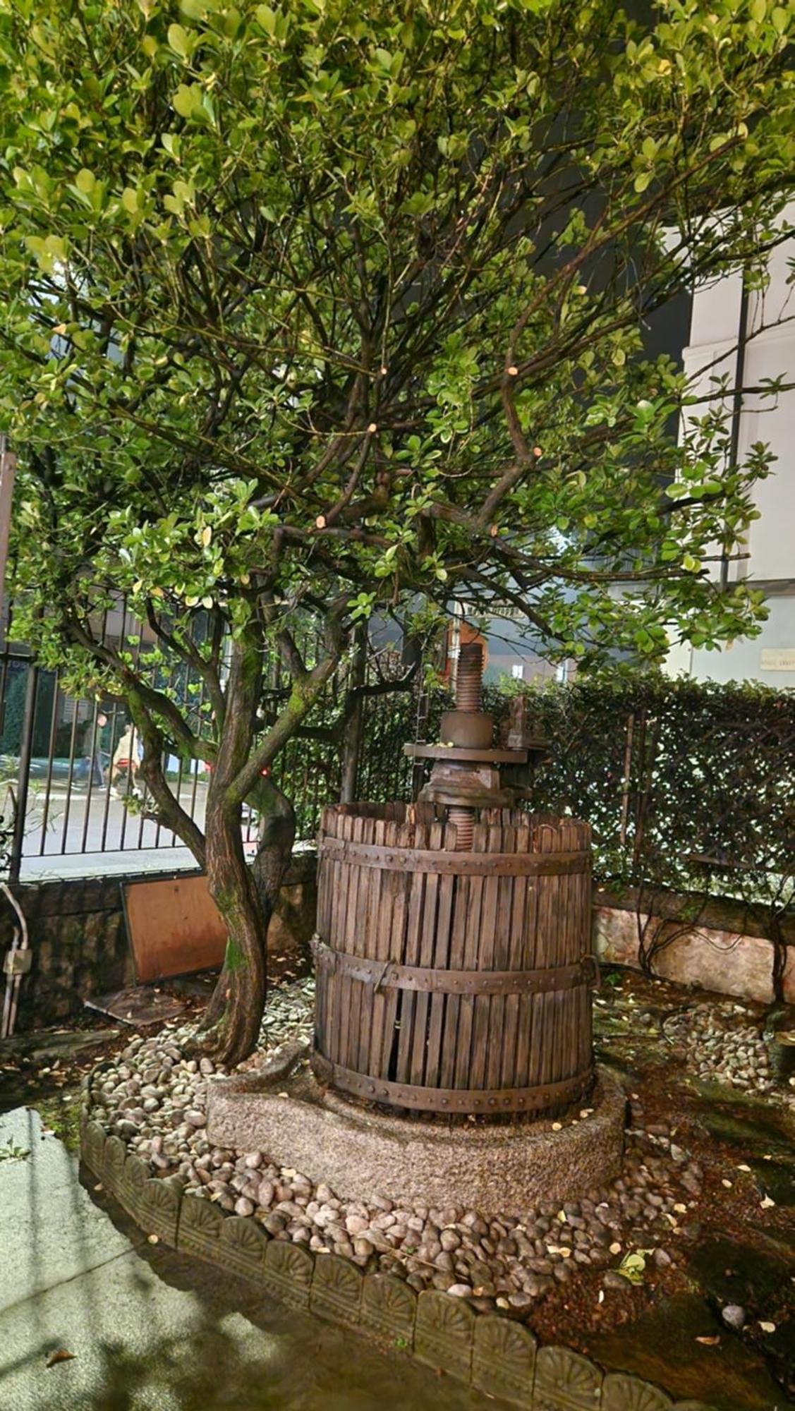 Villa Cavalleri Gattinara Ngoại thất bức ảnh